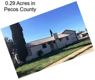 0.29 Acres in Pecos County