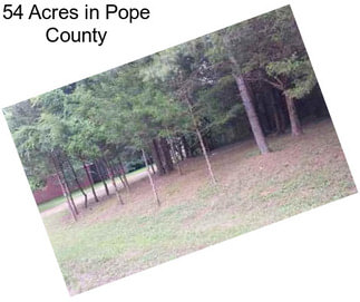 54 Acres in Pope County