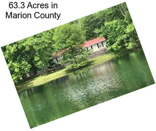 63.3 Acres in Marion County