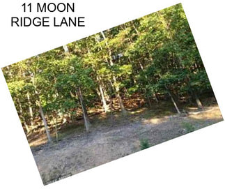 11 MOON RIDGE LANE