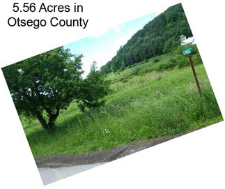 5.56 Acres in Otsego County