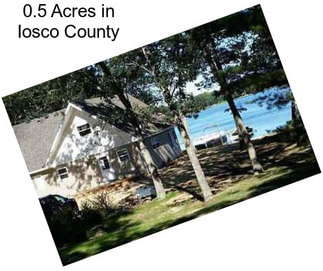 0.5 Acres in Iosco County