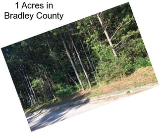 1 Acres in Bradley County