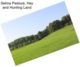 Selma Pasture, Hay and Hunting Land