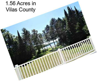 1.56 Acres in Vilas County