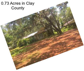 0.73 Acres in Clay County
