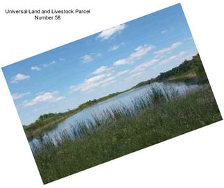 Universal Land and Livestock Parcel Number 58