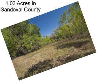 1.03 Acres in Sandoval County