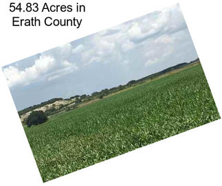 54.83 Acres in Erath County