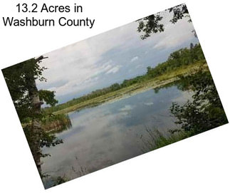 13.2 Acres in Washburn County