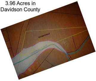 3.96 Acres in Davidson County