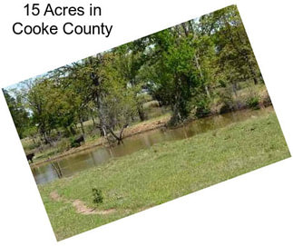 15 Acres in Cooke County