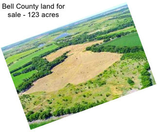 Bell County land for sale - 123 acres