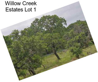 Willow Creek Estates Lot 1