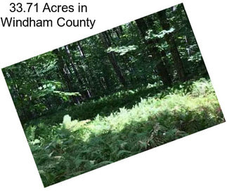 33.71 Acres in Windham County