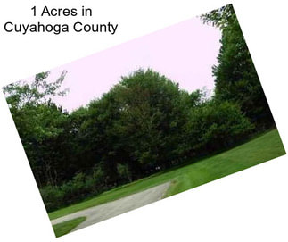 1 Acres in Cuyahoga County