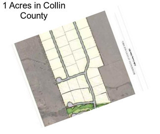 1 Acres in Collin County
