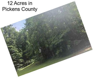 12 Acres in Pickens County