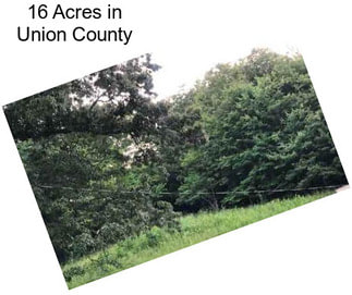 16 Acres in Union County