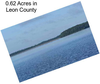 0.62 Acres in Leon County
