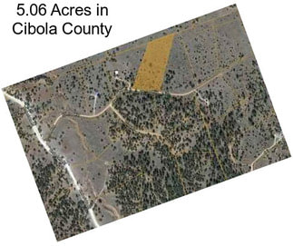 5.06 Acres in Cibola County