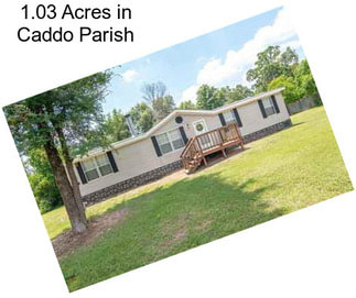 1.03 Acres in Caddo Parish