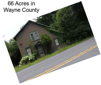 66 Acres in Wayne County
