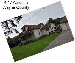 4.17 Acres in Wayne County
