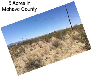 5 Acres in Mohave County