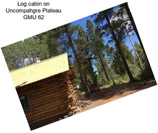 Log cabin on Uncompahgre Plateau GMU 62