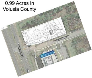 0.99 Acres in Volusia County