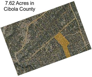 7.62 Acres in Cibola County