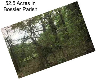 52.5 Acres in Bossier Parish