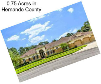 0.75 Acres in Hernando County