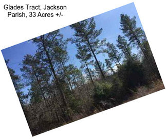 Glades Tract, Jackson Parish, 33 Acres +/-