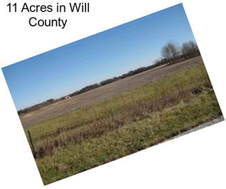 11 Acres in Will County