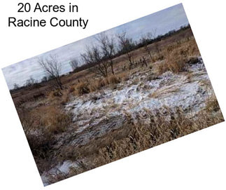20 Acres in Racine County