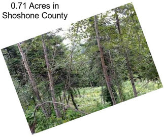 0.71 Acres in Shoshone County