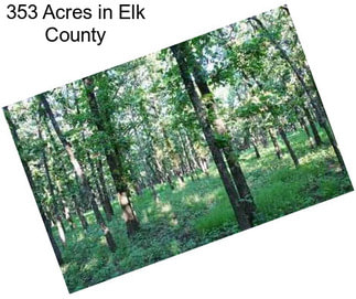 353 Acres in Elk County