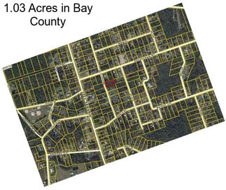 1.03 Acres in Bay County