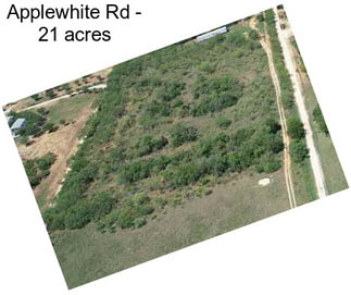 Applewhite Rd - 21 acres