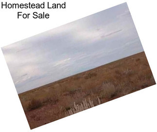 Homestead Land For Sale