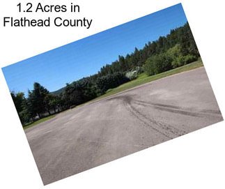 1.2 Acres in Flathead County