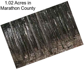 1.02 Acres in Marathon County