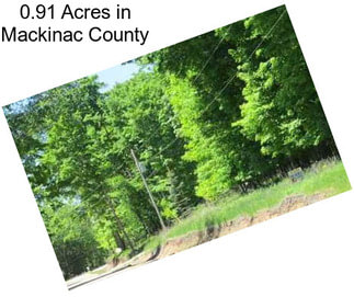 0.91 Acres in Mackinac County