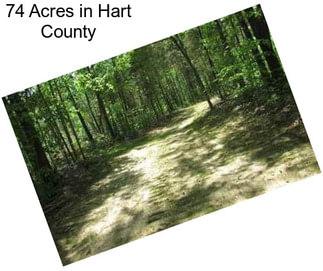 74 Acres in Hart County