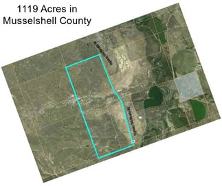 1119 Acres in Musselshell County