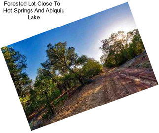 Forested Lot Close To   Hot Springs And Abiquiu Lake