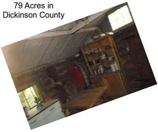 79 Acres in Dickinson County