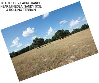 BEAUTIFUL 77 ACRE RANCH NEAR MINEOLA  SANDY SOIL & ROLLING TERRAIN